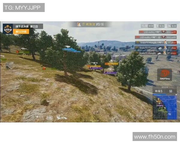 imba看比赛31期-Imba看比赛第31期，深度解析与感受分享-imba看比赛31期